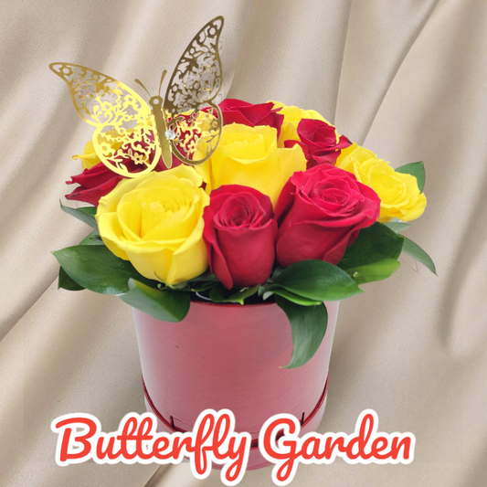 Butterfly Garden